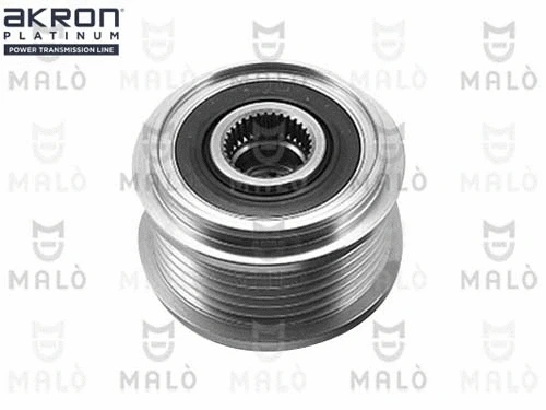 Alternator Freewheel Clutch (1580187)