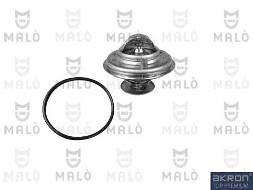 Thermostat, coolant (TER101)