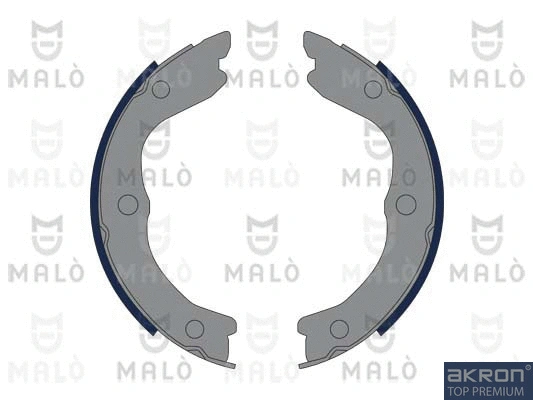 Brake Shoe Set, parking brake (1390049)