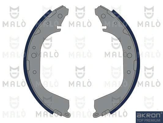 Brake Shoe Set (1390370)