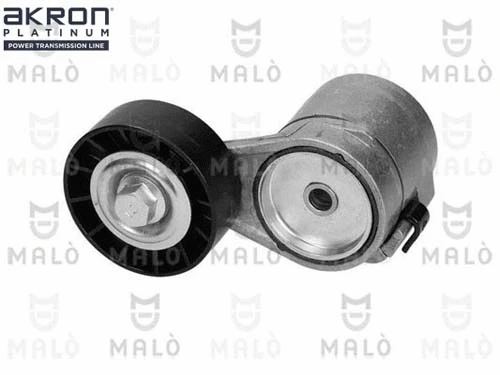 Tensioner Lever, V-ribbed belt (1570150)