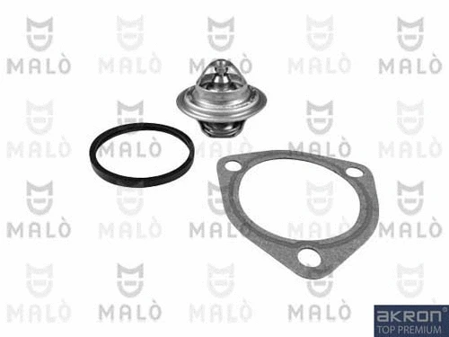 Thermostat, coolant (TER307)
