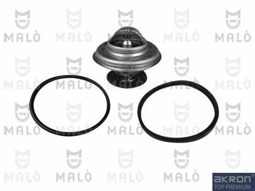 Thermostat, coolant (TER179)