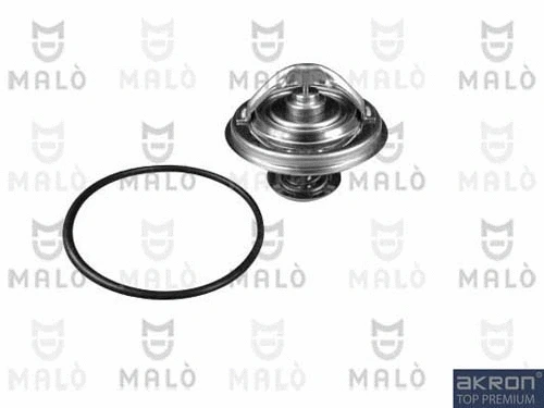 Thermostat, coolant (TER354)