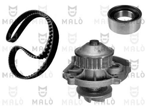 Water Pump & Timing Belt Kit (1555006)