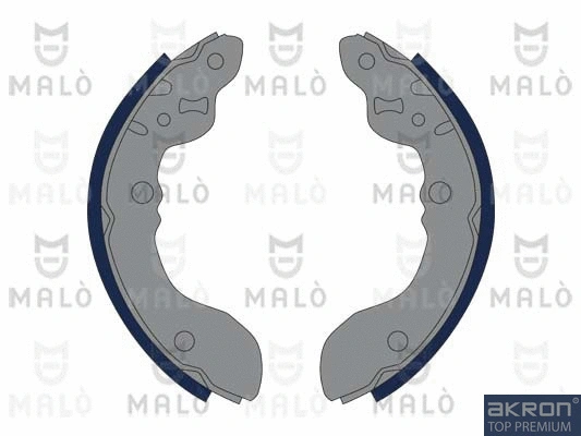 Brake Shoe Set (1390336)