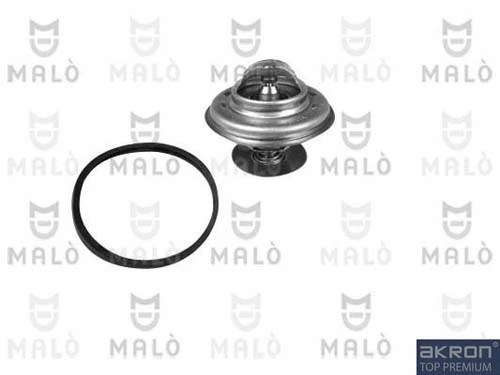 Thermostat, coolant (TER309)