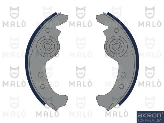 Brake Shoe Set (1390058)