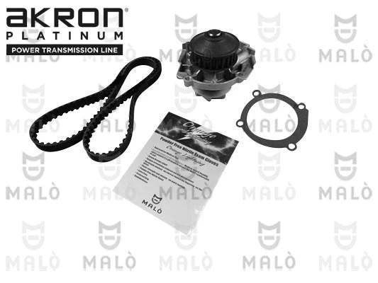 Water Pump & Timing Belt Kit (1555082)