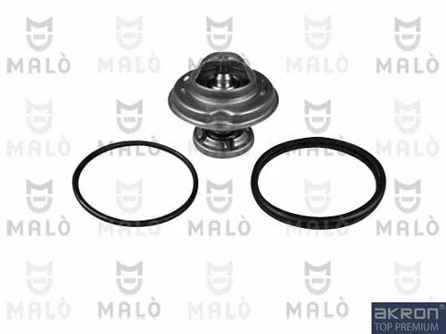 Thermostat, coolant (TER111)
