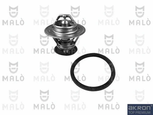 Thermostat, coolant (TER115)