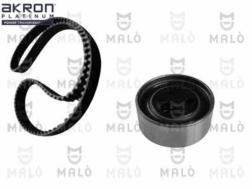 Timing Belt Kit (1551041)