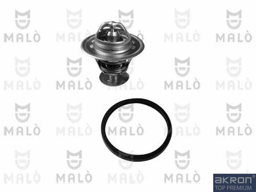 Thermostat, coolant (TER173)