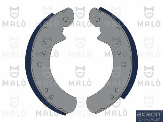 Brake Shoe Set (1390096)
