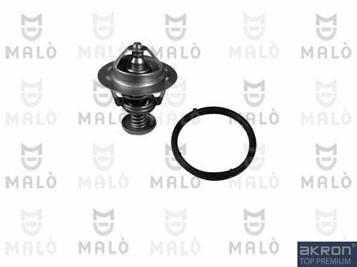 Thermostat, coolant (TER334)