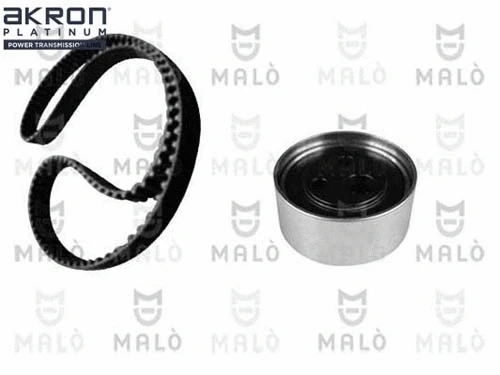 Timing Belt Kit (1551058)