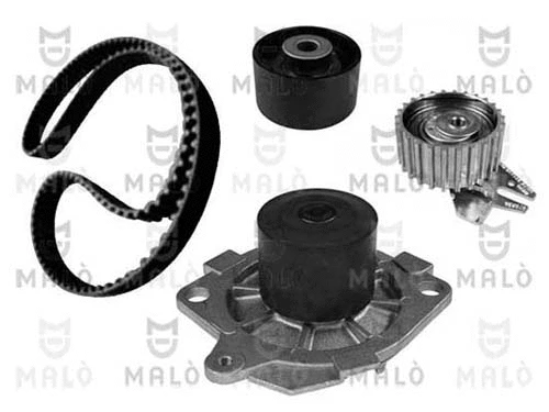 Water Pump & Timing Belt Kit (1555027)