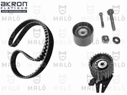 Timing Belt Kit (1551001)