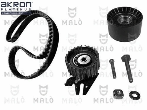 Timing Belt Kit (1551038)