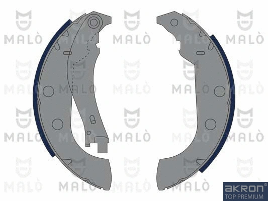 Brake Shoe Set (1390368)