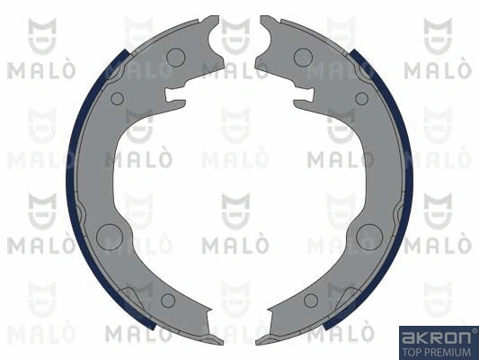 Brake Shoe Set, parking brake (1390283)