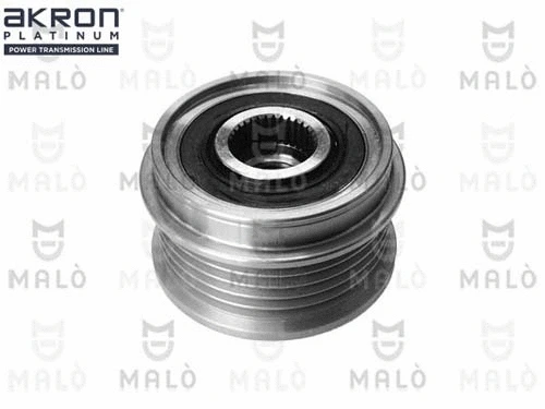 Alternator Freewheel Clutch (1580008)