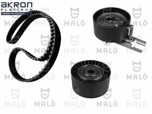 Timing Belt Kit (1551007)