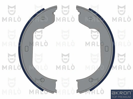 Brake Shoe Set, parking brake (1390016)