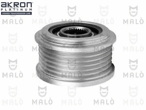 Alternator Freewheel Clutch (1580058)