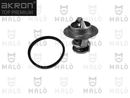 Thermostat, coolant (TER243)