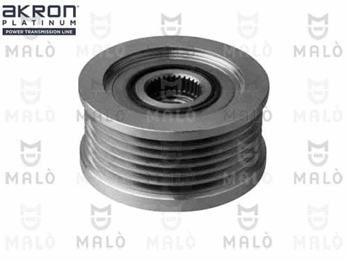 Alternator Freewheel Clutch (1580019)