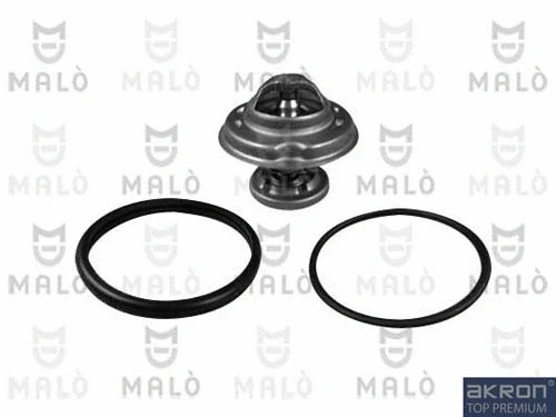 Thermostat, coolant (TER110)