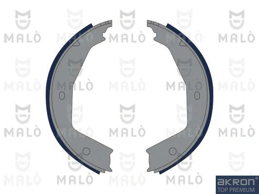 Brake Shoe Set, parking brake (1390021)