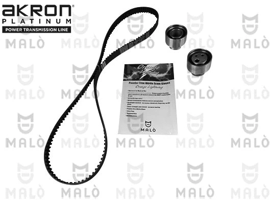 Timing Belt Kit (1551086)