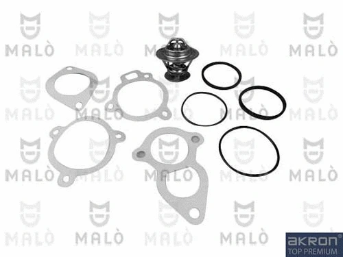 Thermostat, coolant (TER125)