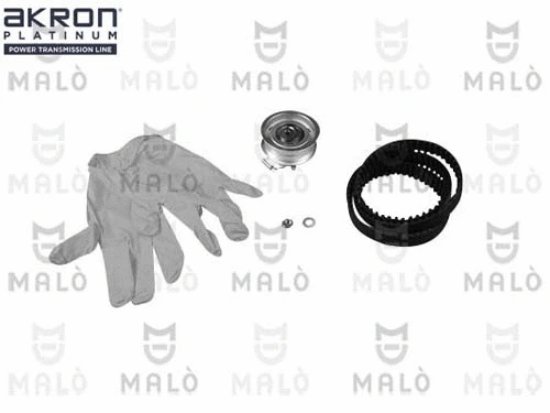 Timing Belt Kit (1551068)