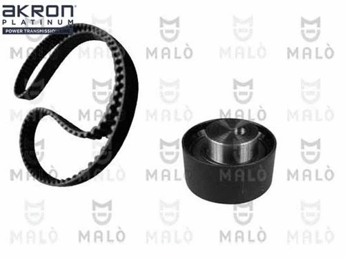 Timing Belt Kit (1551005)