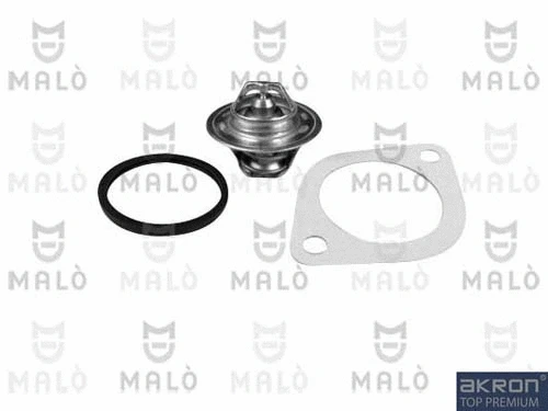 Thermostat, coolant (TER249)