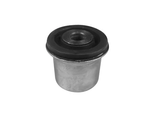 Mounting, control/trailing arm (18976)
