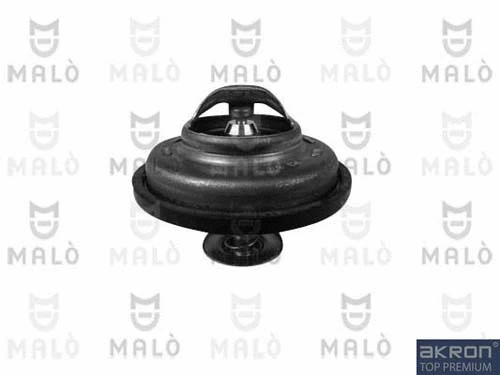 Thermostat, coolant (TER348)