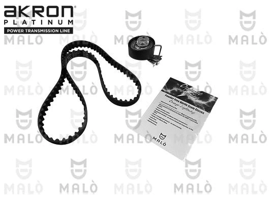 Timing Belt Kit (1551064)