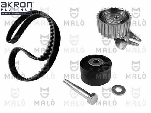 Timing Belt Kit (1551034)
