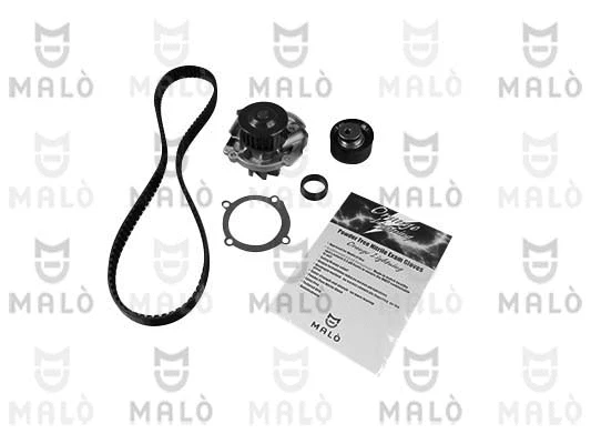 Water Pump & Timing Belt Kit (15550051)