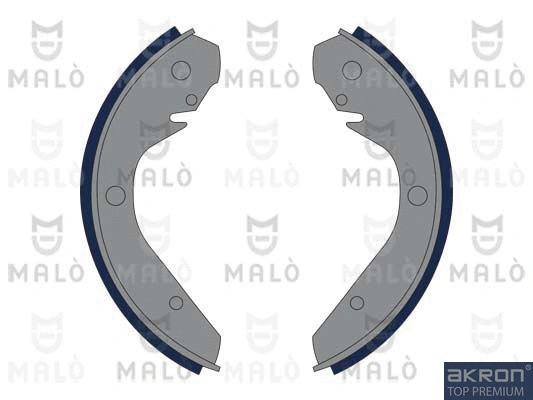 Brake Shoe Set (1390293)