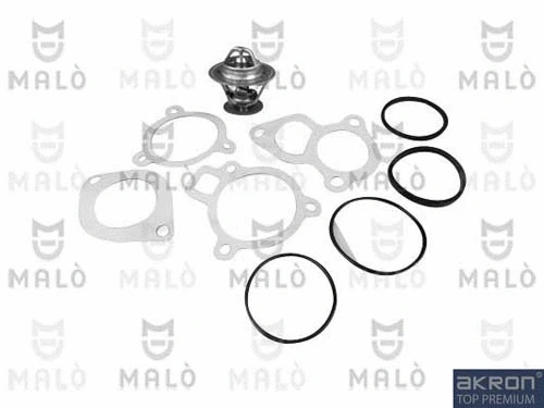 Thermostat, coolant (TER299)