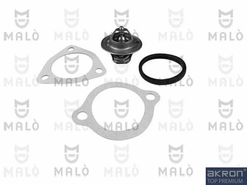 Thermostat, coolant (TER175)
