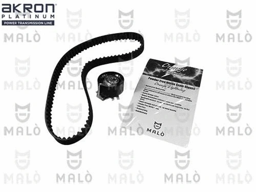 Timing Belt Kit (1551066)