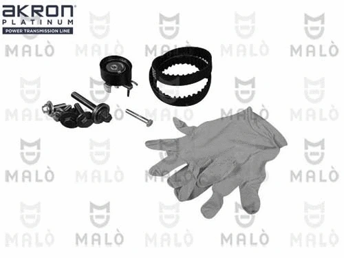 Timing Belt Kit (1551067)