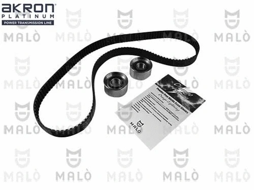 Timing Belt Kit (1551059)