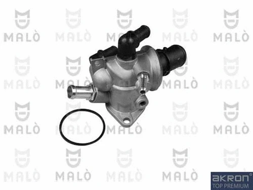 Thermostat, coolant (TER069)